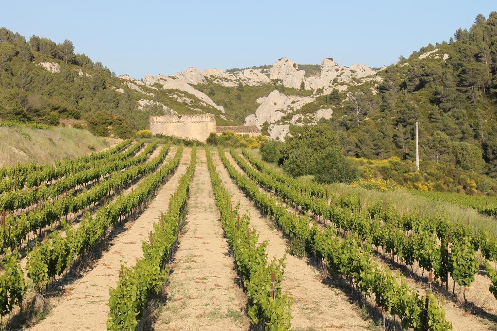 La Montagute Thezan-des-Corbieres Exterior photo