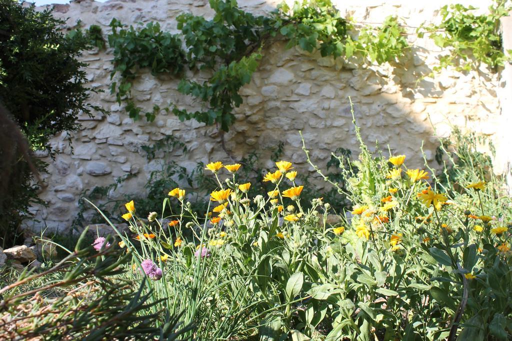 La Montagute Thezan-des-Corbieres Exterior photo